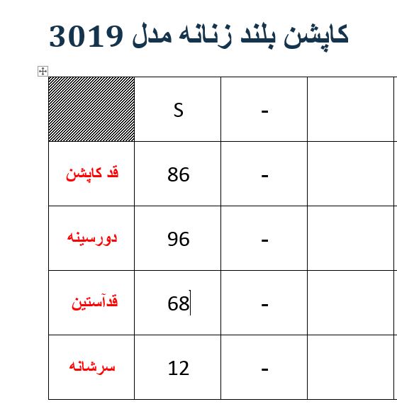 کاپشن بلند زنانه مدل 3019